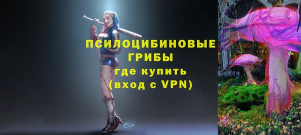 ешки Алзамай